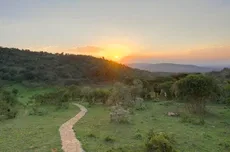 best family safari packages in Kenya, family safari Kenya, Kenya safari packages for families, best family safaris in kenya, best family tour experiences in kenya
