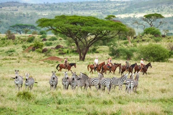 Ethical Tourism Practices in Kenya | Sustainable & Responsible Tourism in Kenya