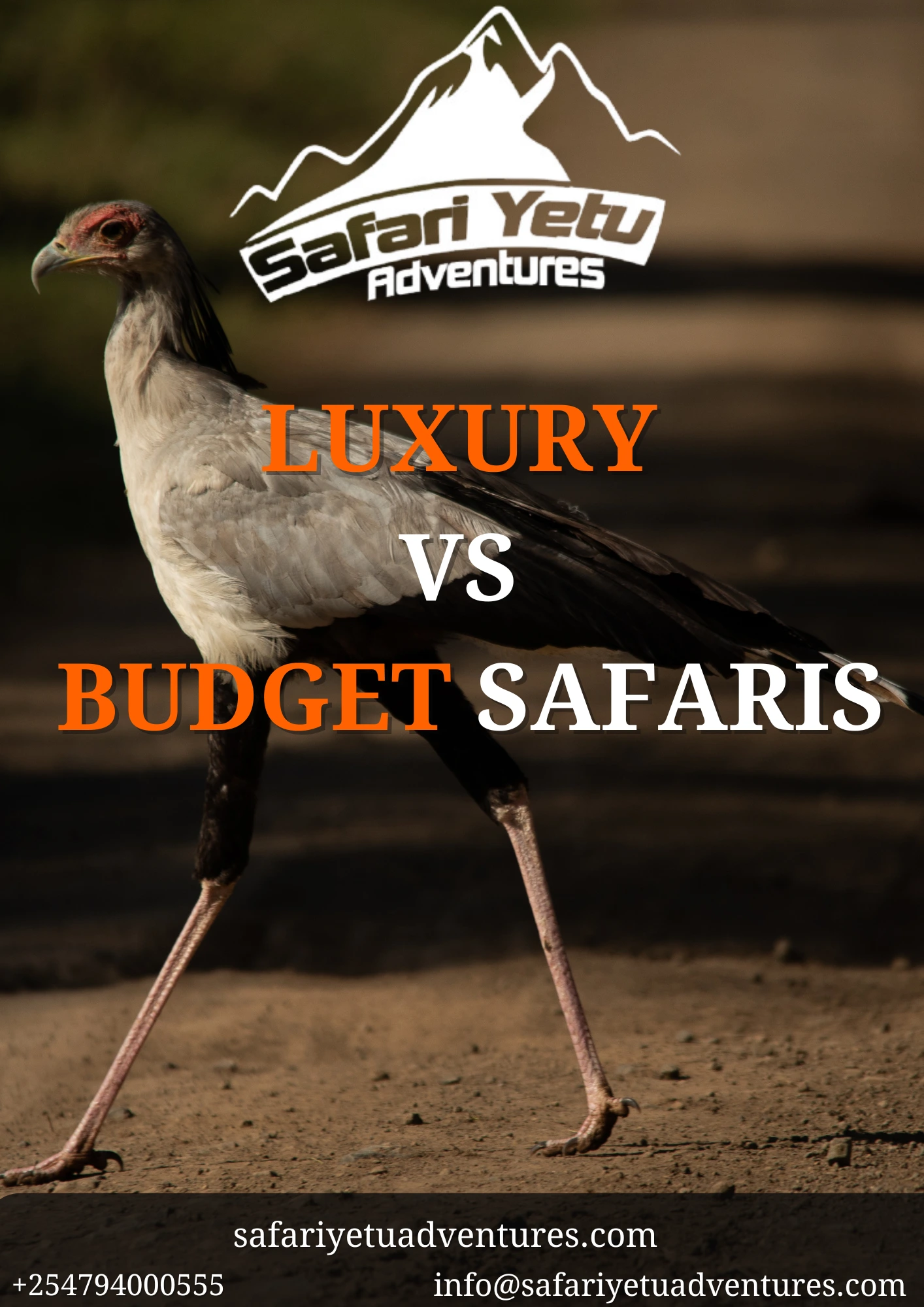 The Best Luxury Vs. Budget Safari Guide