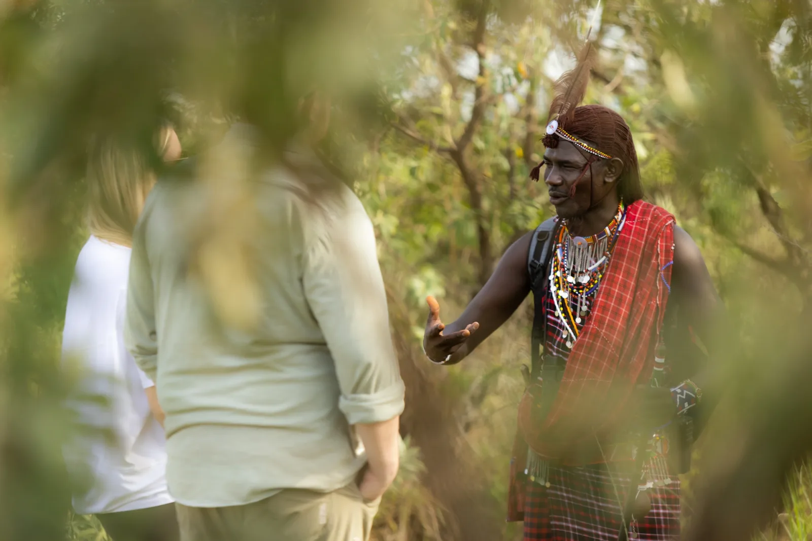 best luxury safaris in kenya, best private safaris in kenya, luxury Kenyan safari, luxury safari lodges in Kenya, leading luxury tour company in Kenya, luxury safari tours and packages in kenya