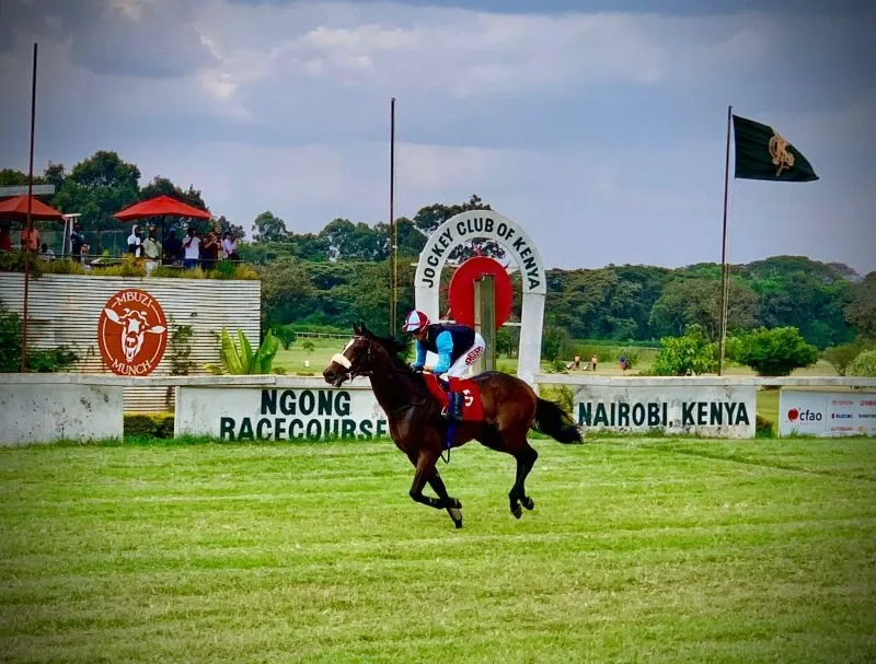 sports tourism in Africa, adventure sports tourism in Africa, sports tourism in kenya, places to go for sports in Africa, Eldoret City Marathon