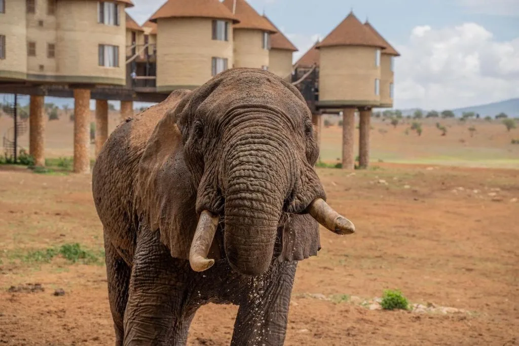 best Easter holiday destinations, best Easter destinations in Kenya, best places to go this Easter holiday season, best Easter deals, Easter beach holiday deals