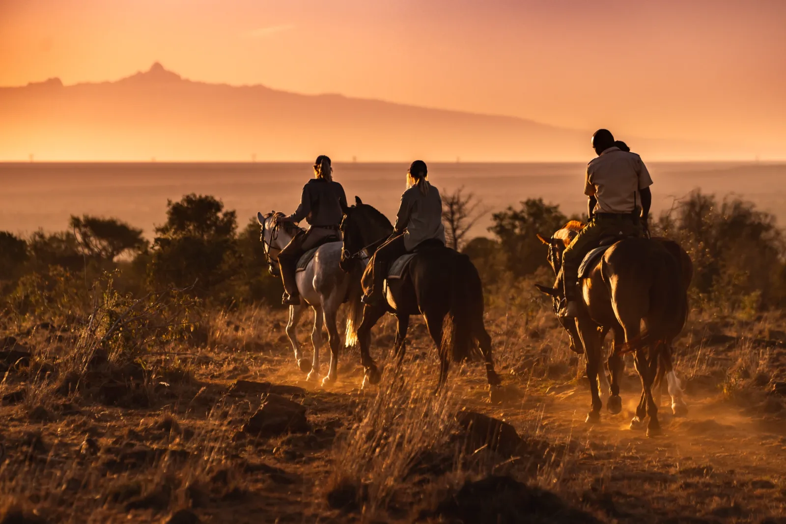 Luxury Vs budget safaris in Kenya, best affordable safaris in Kenya, the best luxury safaris in Kenya, best luxury and budget safari prices, best travel guide for travelers