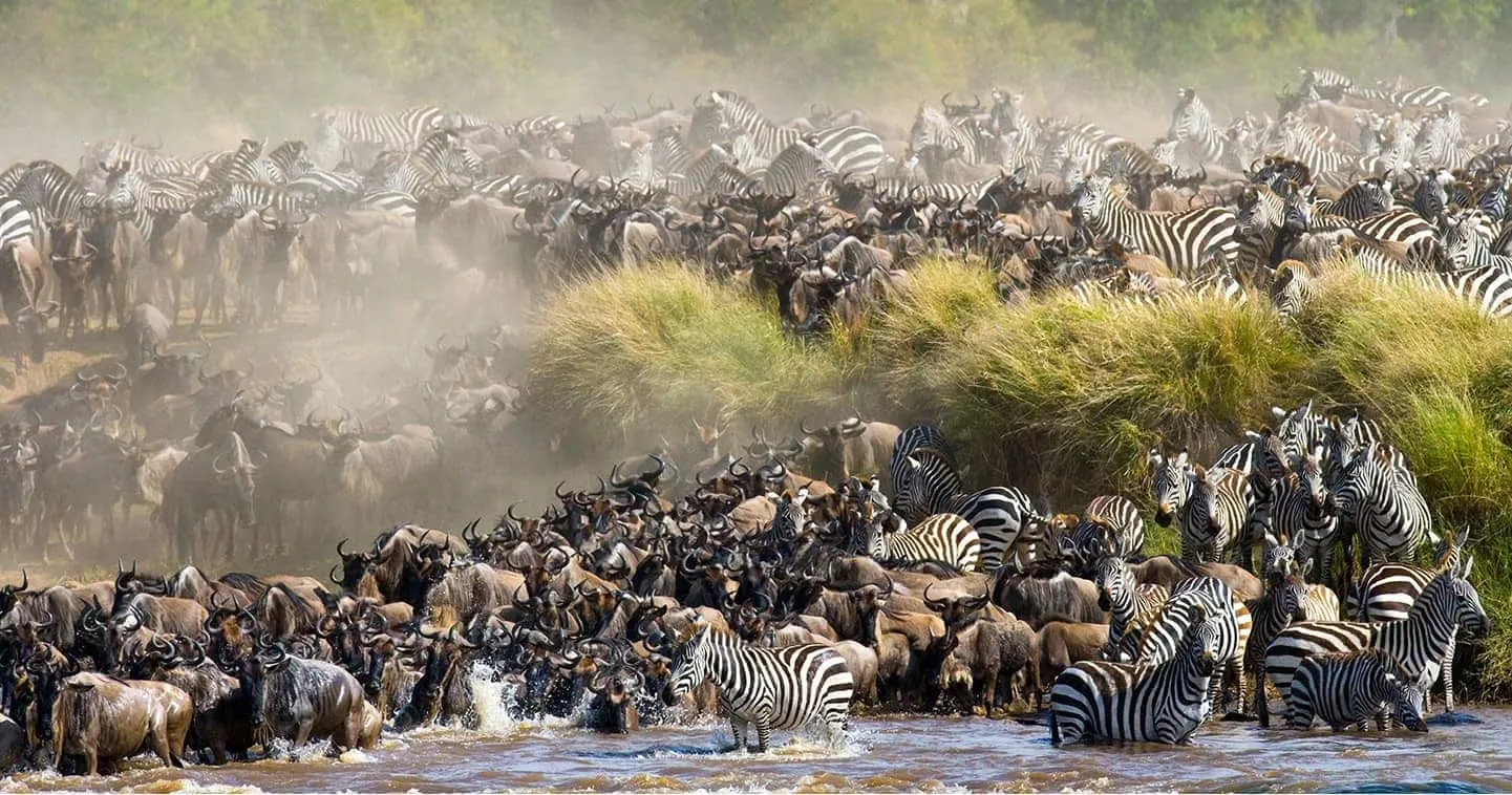 Maasai Mara ultimate safari guide, best time to visit Maasai Mara, Maasai Mara safari packages, the Maasai Mara Great Migration, Maasai Mara camps and lodges