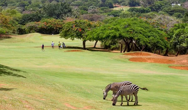 sports tourism in Africa, adventure sports tourism in Africa, sports tourism in kenya, places to go for sports in Africa, Eldoret City Marathon