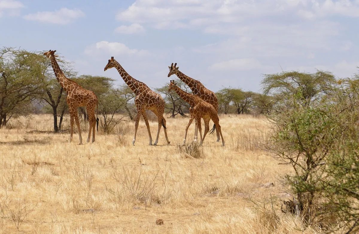 best Easter holiday destinations, best Easter destinations in Kenya, best places to go this Easter holiday season, best Easter deals, Easter beach holiday deals