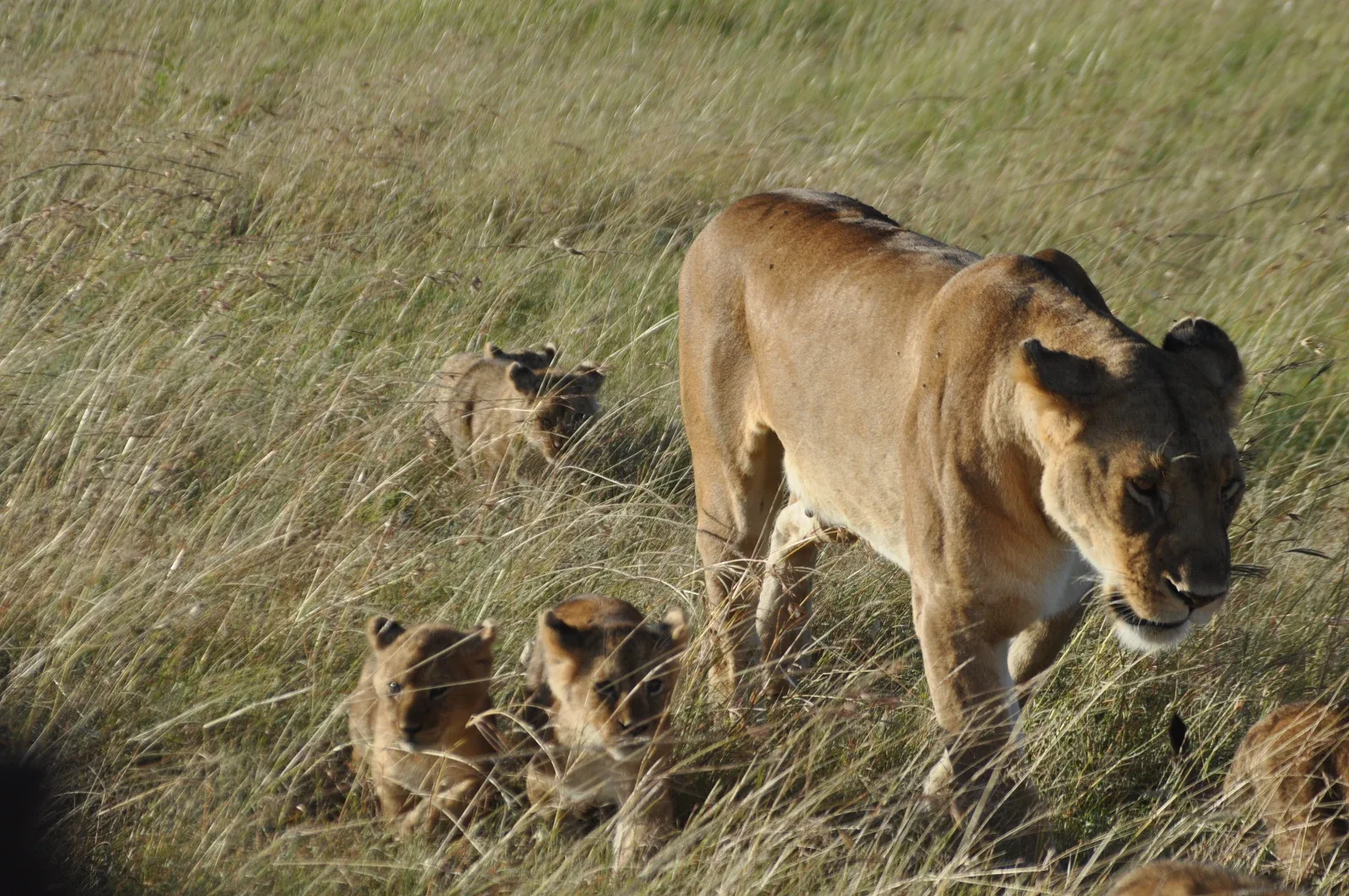best Easter holiday destinations, best Easter destinations in Kenya, best places to go this Easter holiday season, best Easter deals, Easter beach holiday deals