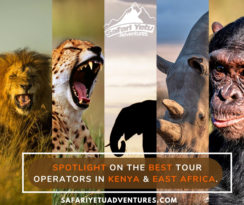 Best Tour Operators in Kenya: 15 Trusted Safari Companies for Every Traveller (2027 Guide)